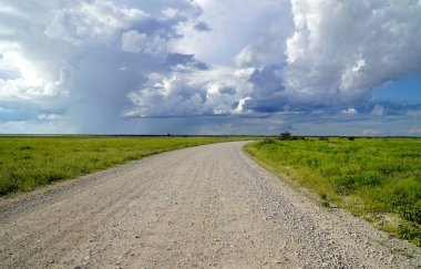 Ulusal bir parkta açık arazi, bina ya da hayvan yok.                               