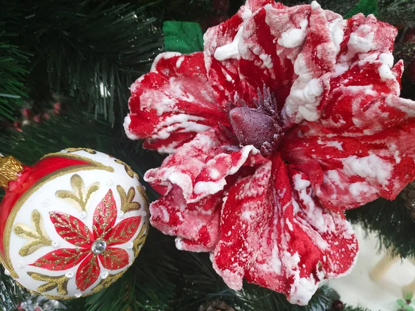 Weihnachtsdekor Blumen Dekorationen Weihnachtsbäumen Auf Weißem Hintergrund — Stockfoto