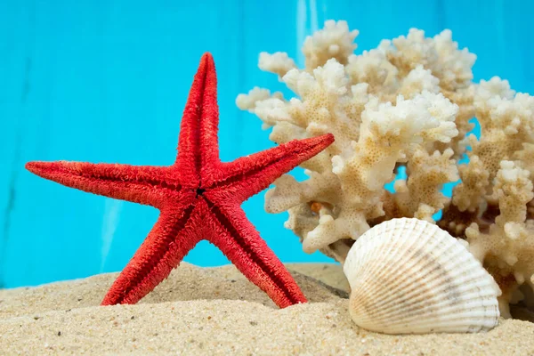 stock image sea sand starfish, coral and pebbles as background. Concept of rest. Top view