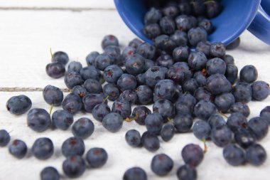 Ahşap masa arkasında yabanmersini, bir kase yaban mersini.