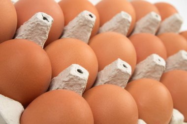 Kutudaki kahverengi tavuk yumurtaları beyaz arka planda izole edilmiş.