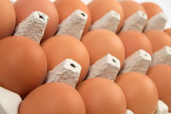Telur Ayam Coklat Dalam Kotak Karton Diisolasi Pada Latar Belakang Stok Foto