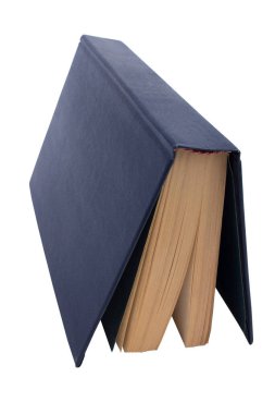 Beyaz arka plan üzerinde izole açık kitap. Metin için yer kopyalayın