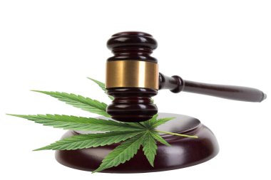 Legality of cannabis, legal and illegal cannabis on the world. law concept. white background. clipart