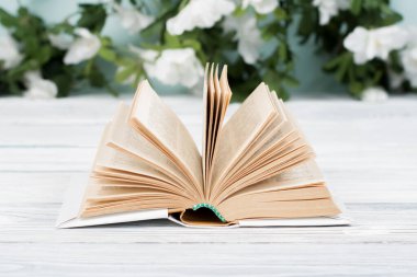 Ahşap masa üzerinde açık ciltli kitap. Doğal arka plan. Okula dönüş. Metin için yer kopyalayın