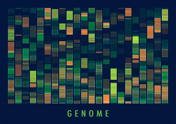 Teste Genómico Adn Mapa Genómico Visualização Big Data Representação Infográfica —  Vetores de Stock