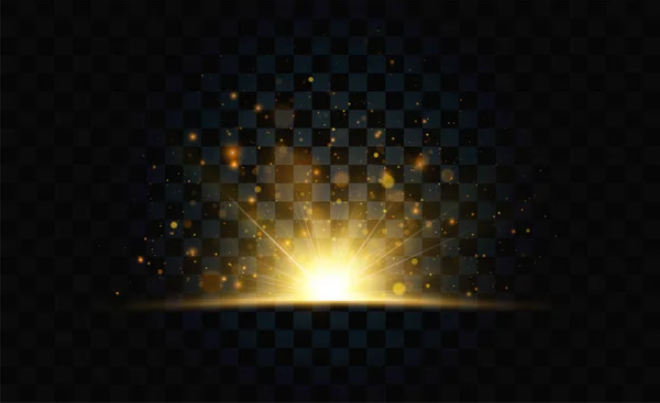 Gouden Glitter Deeltjes Lichten Effect Geïsoleerd Transparante Achtergrond Grafisch Concept — Stockvector