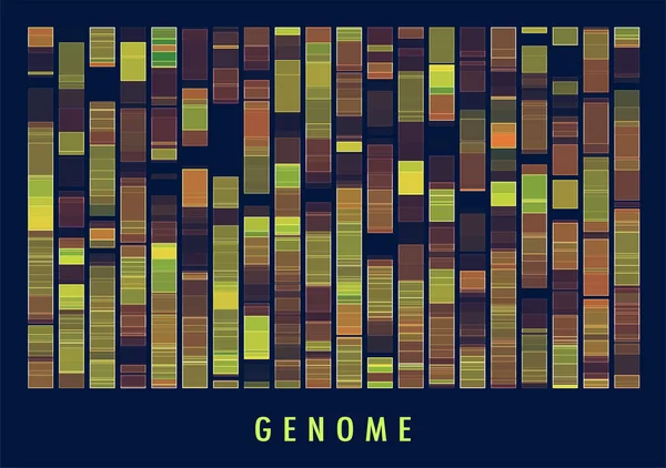 Prueba Genómica Del Adn Mapa Del Genoma Visualización Macrodatos Representación — Vector de stock