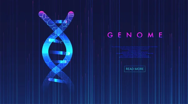 大基因组数据可视化 Dna测试 基因组图 为您的设计提供图形化概念 — 图库矢量图片