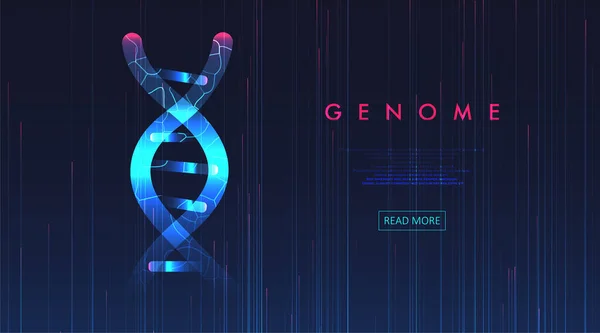 Grande Visualisation Des Données Génomiques Test Adn Carte Génomique Concept — Image vectorielle