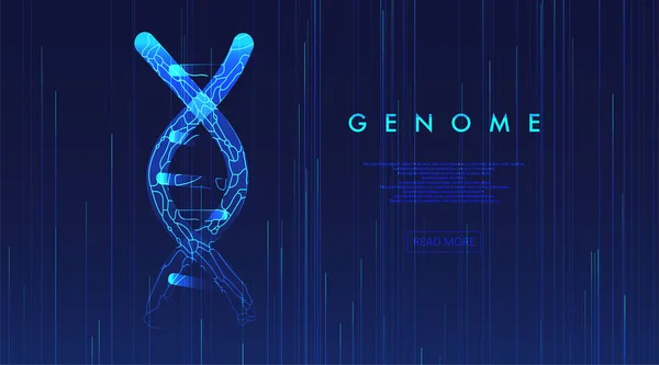 Duża Wizualizacja Danych Genomowych Test Dna Mapa Genomu Koncepcja Graficzna — Wektor stockowy