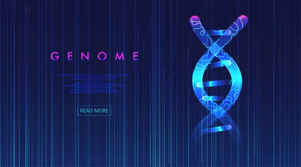 Grote Genomische Data Visualisatie Dna Test Genoomkaart Grafisch Concept Voor — Stockvector