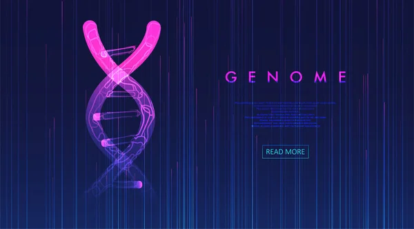Visualización Grandes Datos Genómicos Prueba Adn Mapa Del Genoma Concepto — Vector de stock