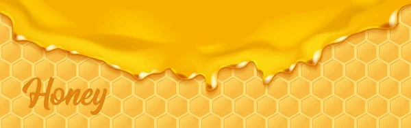 背景与蜂巢和蜂蜜 为您的设计提供图形概念 — 图库矢量图片