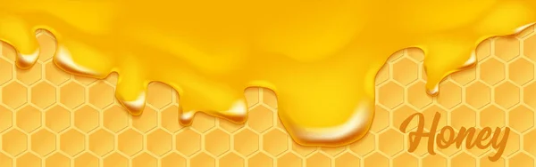 ハニカムと蜂蜜の背景 デザインのグラフィックコンセプト — ストックベクタ