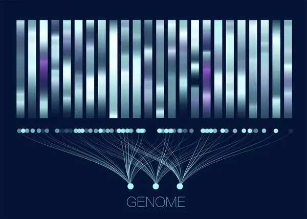Геномний Тест Днк Карта Геному Велика Візуалізація Даних Абстрактне Представлення Стокова Ілюстрація