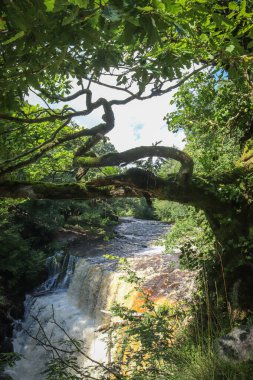 Galler 'deki Snowdonia Ulusal Parkı' ndaki bir şelalenin fotoğrafı 