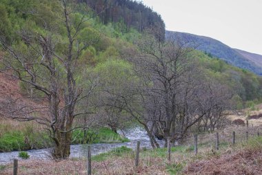 Galler 'deki Snowdonia Ulusal Parkı' ndaki bir nehrin fotoğrafı. 