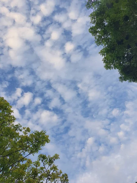 Foto Cielo Azul Con Nubes Blancas Árboles Parque Inglaterra Reino — Foto de Stock
