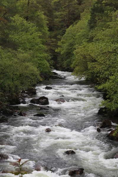 Galler Deki Snowdonia Ulusal Parkı Ndaki Bir Nehrin Fotoğrafı — Stok fotoğraf