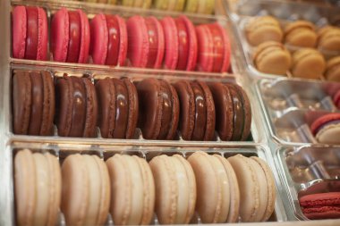 Lezzetli tatlı pasta, kek, meyveli bir Noel masası için kurabiyeler.