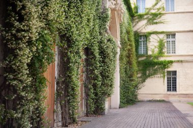 Fransa 'nın güneyinde güzel bir şehir manzarası, binalar ve eski tarz mimari ile arka plan