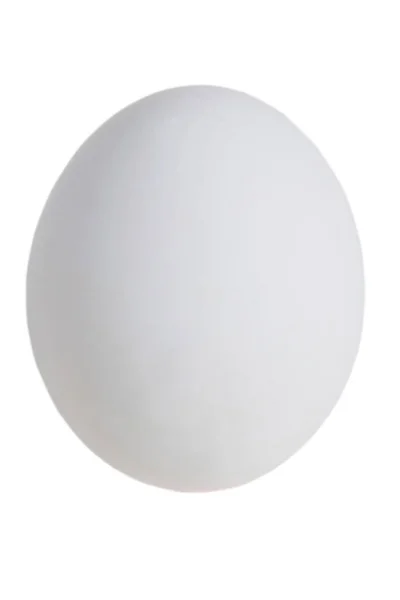 Белое Яйцо Изолировать Белом Фоне Копировальным Пространством — стоковое фото