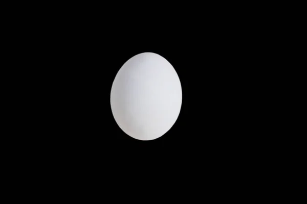 Egg Isolate Black Background Place Text — Stock Photo, Image
