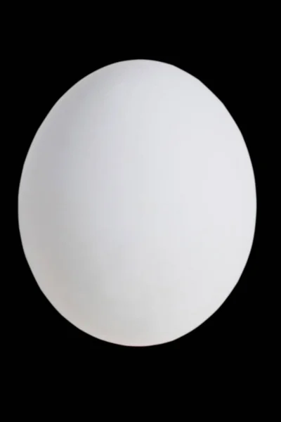 Яйце Ізольоване Чорному Тлі Місцем Тексту — стокове фото