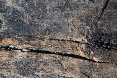 Rough texture of old vintage wooden board