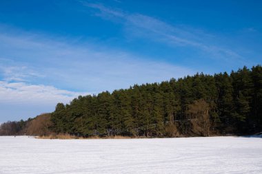 Winter landscape in sunny weather. Frozen river and coniferous forest in snow