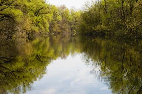 Τοπίο Νερό Άνοιξη Πλημμύρα Ένα Ποτάμι Στην Ουκρανία Δάσος Στο — Φωτογραφία Αρχείου