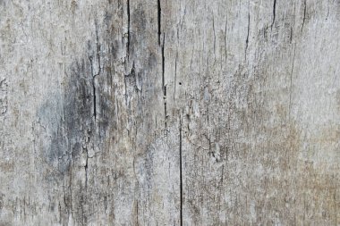 Geçmişi, ahşap dokusu, çatlakları olan eski gri tahta..