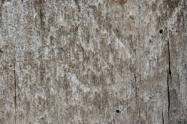 Tło Tekstura Drewna Stara Szara Drewniana Deska Pęknięciami — Zdjęcie stockowe