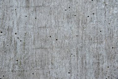 Geçmişi, ahşap dokusu, çatlakları olan eski gri tahta..