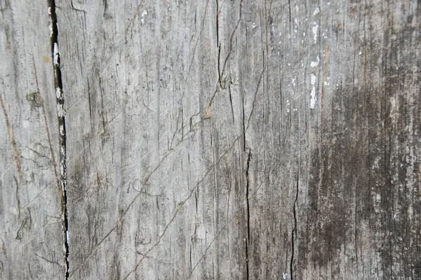 Серый Фон Старая Деревянная Доска Глубокими Трещинами — стоковое фото