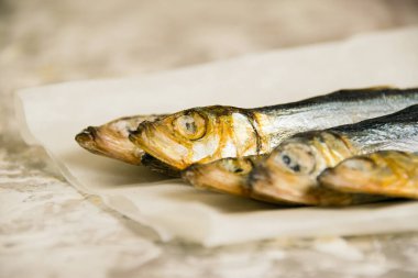 Bira için güzel kokulu aperatif, arka planda lezzetli balık..