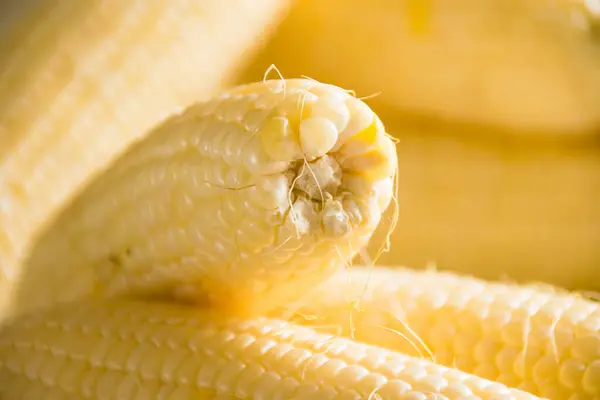 Köstlicher Süßer Weißer Mais Auf Einem Hellen Tisch Aus Nächster — Stockfoto