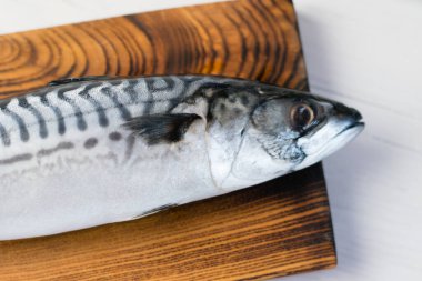 Kesme tahtasındaki çiğ uskumru balığı, balık pişirme..