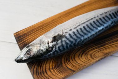 Kesme tahtasındaki çiğ uskumru balığı, balık pişirme..