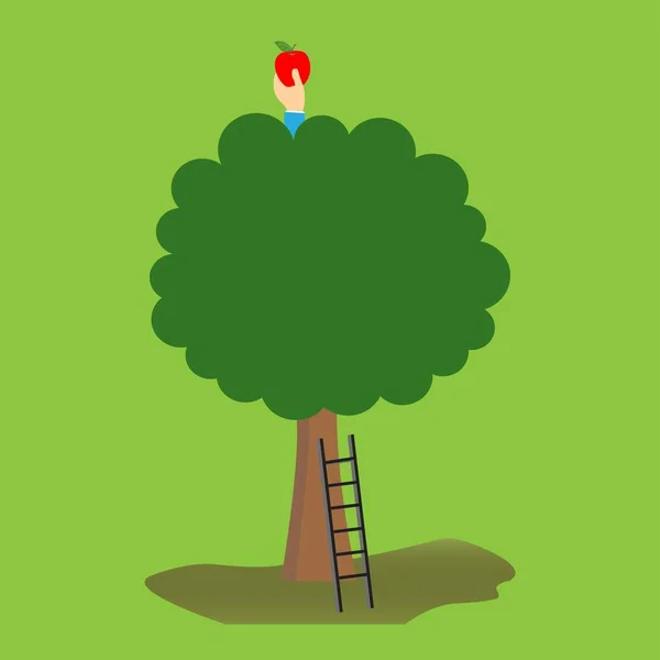 Árvore Com Escada Uma Mão Segurando Uma Maçã —  Vetores de Stock