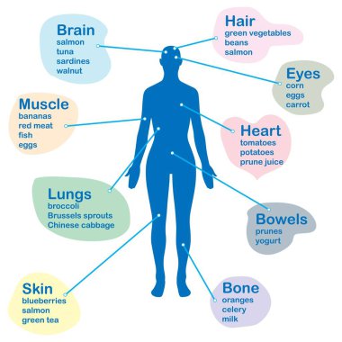 Vücut organlarının sağlığı için yiyeceklerle dolu metni olan bir kişinin silueti.
