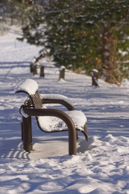 Kuzey Idaho 'da karla kaplı boş bir park bankının konsept fotoğrafı..