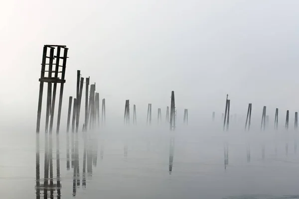 Wooden pilings rise out of the calm water on a foggy morning in January on the Pend Oreille River in north east Washington state.