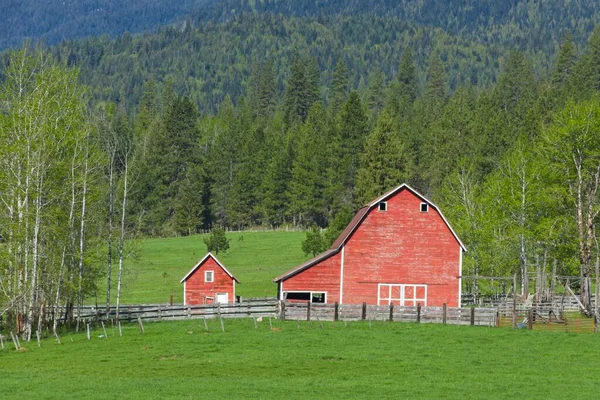 アイダホ州北部の春の間 緑豊かな草原の中に古い明るい赤い納屋が立っている — ストック写真