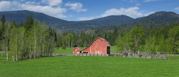 A panorama of an older bright red barn in good condition stands in a rich green grassy field under a blue, partly cloudy sky during spring in north Idaho.