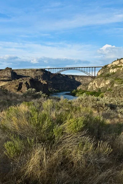 Ett Landskapsfoto Perrine Bridge Ovanför Ormfloden Och Torr Borste Förgrunden — Stockfoto
