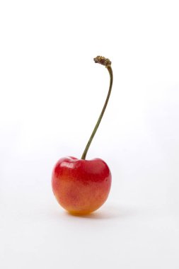 Sapı olan parlak kırmızı bir kiraz beyaz bir arkaplanda duruyor..