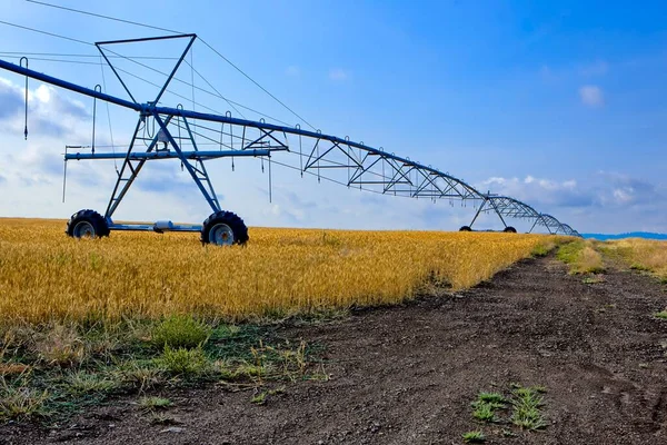 Rathdrum, Idaho yakınlarındaki çoktan hasat edilmiş bir tarlada büyük bir sulama borusu sistemi bulunuyor..