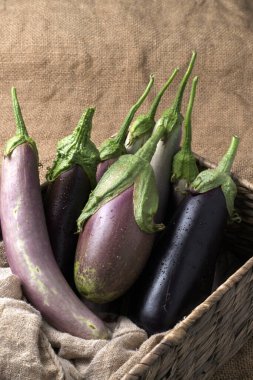 Hasat edilmiş patlıcanların hasat sepetinin içinde duran çeşitli taze patlıcanların yakın plan fotoğrafı..